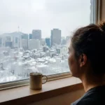 2025 화이트 크리스마스 서울 창밖 풍경